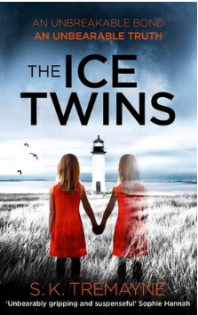 The Ice Twins A Novel